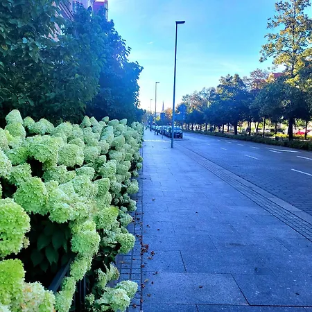 Appartement Apartament Verde Szczecin