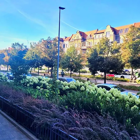 Apartament Verde