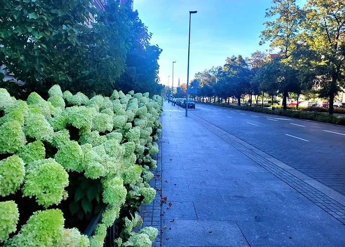 Апартаменты Apartament Verde Щецин